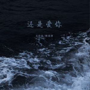 Album 还是爱你 from 王忻辰