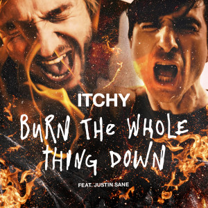 Album Burn the whole thing down from Itchy Poopzkid