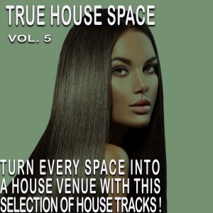 Listen to Remember Loveparade (Sequenced Bass Love Mix) song with lyrics from Moon Express