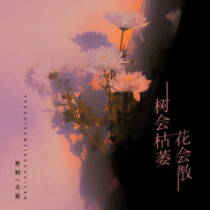 Album 树会枯萎花会散 oleh 阿珍