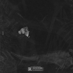 Album Vulgarity (Explicit) from YUNG ZEMY