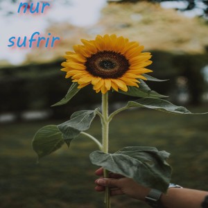 收聽Nur的Suficiente歌詞歌曲