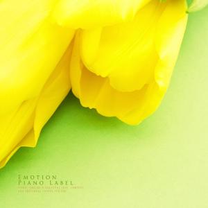 Dengarkan Quiet Holiday lagu dari Seon Yurin dengan lirik