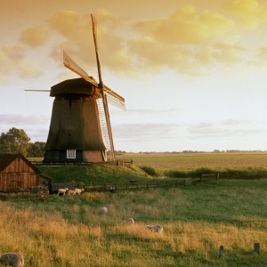 收聽dylanf的The Windmills(風車谷) (完整版)歌詞歌曲