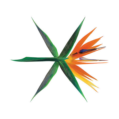 JOOX