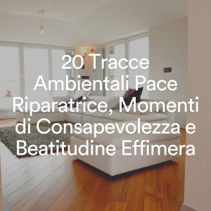 Album 20 Tracce Ambientali Pace Riparatrice, Momenti di Consapevolezza e Beatitudine Effimera from Música Ambiente