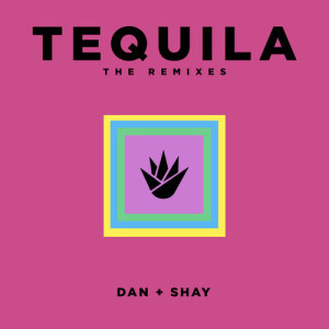 ดาวน์โหลดและฟังเพลง Tequila (Mushroom People Remix) พร้อมเนื้อเพลงจาก Dan + Shay