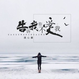 ดาวน์โหลดและฟังเพลง 告诉我你不爱我 พร้อมเนื้อเพลงจาก 漠心藤