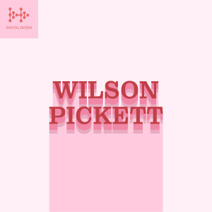 Wilson Pickett的專輯Digital Dozen