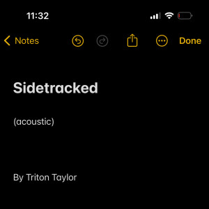 Album Sidetracked (Acoustic) from Triton Taylor
