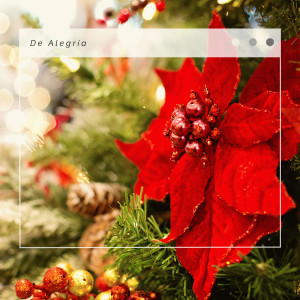 收聽Christmas Piano Music的Perfect Christmas: The Twelve Days of Christmas歌詞歌曲