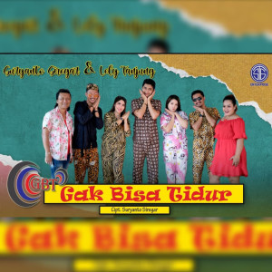 Lely Tanjung的专辑Gak Bisa Tidur (Gbt) (Explicit)