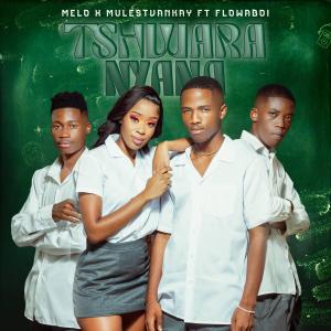 ดาวน์โหลดและฟังเพลง Tshwara Nyana (feat. MulestVankay & Flowaboi) พร้อมเนื้อเพลงจาก DJ Melo