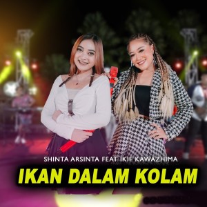 Listen to Ikan Dalam Kolam song with lyrics from Shinta Arsinta