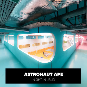 Listen to Night in Ubud song with lyrics from Astronaut Ape