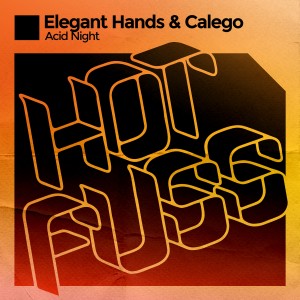 收聽Elegant Hands的Acid Night (Radio Mix)歌詞歌曲