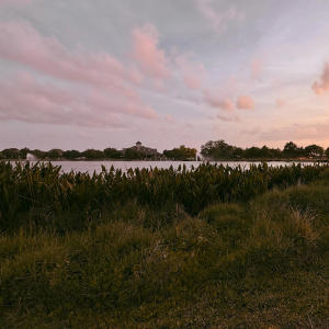 收聽JayTizzle的Outtapocket! (Explicit)歌詞歌曲