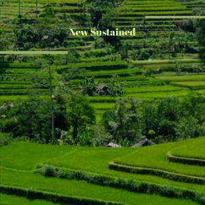 Album New Sustained oleh Various