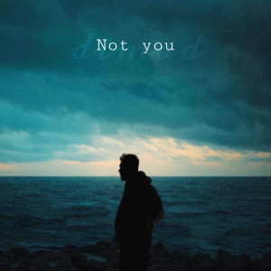 收听DiMaD的Not You歌词歌曲