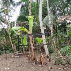 Album Obati Rinduku from 