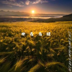 ดาวน์โหลดและฟังเพลง 抱着青稞 พร้อมเนื้อเพลงจาก Am73