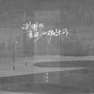 Listen to 谢谢你,曾用心骗过我 (DJ版) song with lyrics from 黄静美