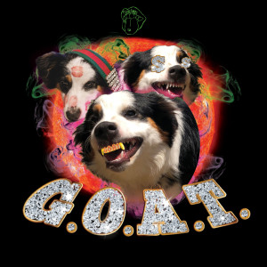 default album img