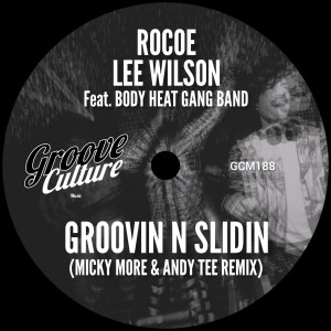 Album Groovin N Slidin (Micky More & Andy Tee Remix) from Lee Wilson