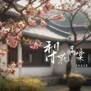 Album 梨花满棠 oleh 郝善良