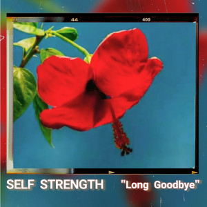 ดาวน์โหลดและฟังเพลง Long Goodbye พร้อมเนื้อเพลงจาก Self Strength