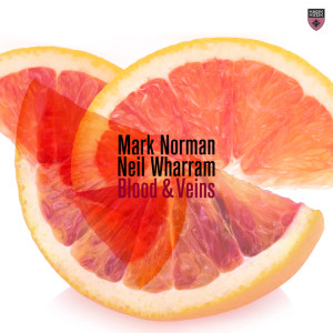 Listen to Blood & Veins (Extended Mix) song with lyrics from Mark Norman
