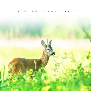 Dengarkan Morning of smile lagu dari Kim Yunho dengan lirik