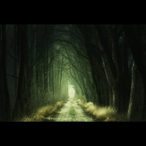 Dengarkan Daydream in Green lagu dari Spa Music Relaxation dengan lirik