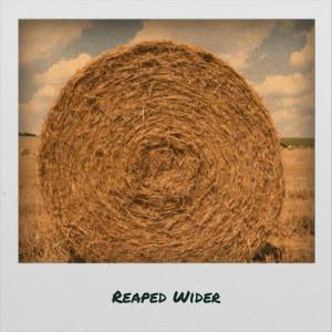 Listen to Fork song with lyrics from Cederic Cand