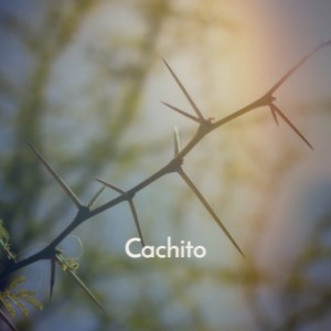 收听Nat King Cole的Cachito歌词歌曲