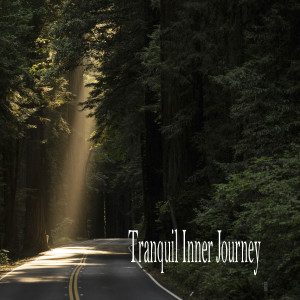 อัลบัม Tranquil Inner Journey ศิลปิน Música de concentración profunda
