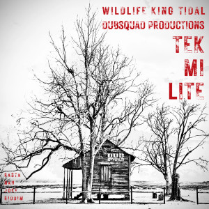 Listen to Tek Mi Lite ( Rasta Nah Joke Riddim ) song with lyrics from Dubsquad Productions