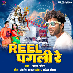 收聽Akshay Arpit的Reel Pagali Re歌詞歌曲