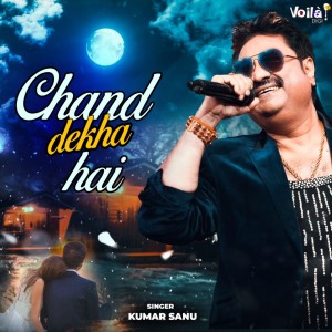 Album Chand Dekha Hai from Kumar Sanu