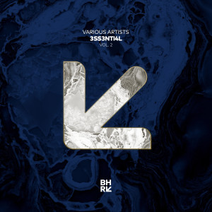 Various Artists的專輯3SS3NTI4L, Vol. 2