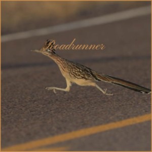 ดาวน์โหลดและฟังเพลง Roadrunner พร้อมเนื้อเพลงจาก Bo Diddley