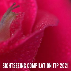Album SIGHTSEEING COMPILATION JTP 2021 from Various