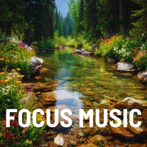 Album Summer Calm Focus Music for Deep Thinking from Focus Music