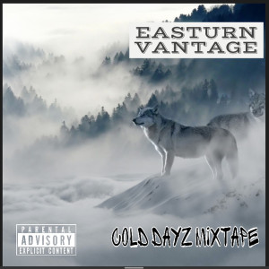 Listen to Walk in My Shoes (Explicit) song with lyrics from Easturn Vantage