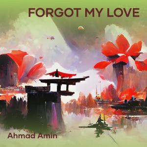 อัลบัม Forgot My Love ศิลปิน Ahmad Amin