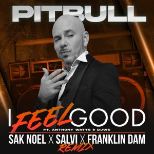 ดาวน์โหลดและฟังเพลง I Feel Good (Sak Noel X Salvi X Franklin Dam Remix) พร้อมเนื้อเพลงจาก Pitbull