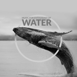 Listen to Conga & Waterfall Music song with lyrics from Waterfalls Music Universe