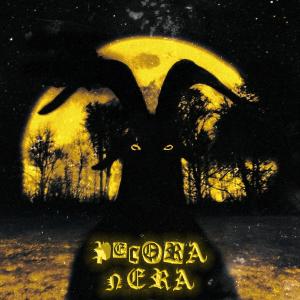 收聽Sin De的Pecora Nera歌詞歌曲