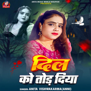 Album Dil Ko Tod Diya from Anita Vishwakarma Anni