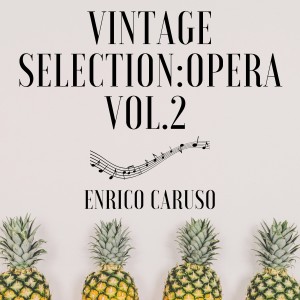 Vintage Selection: Opera, Vol. 2 (2021 Remastered)
